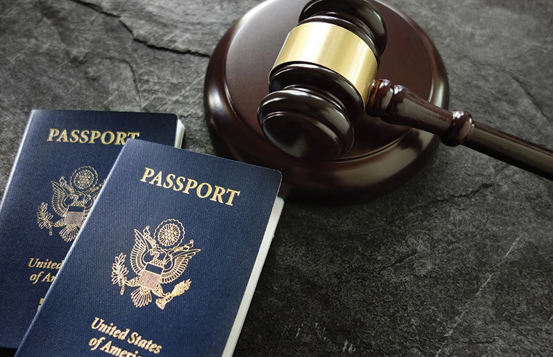 immigration law crimson solicitors