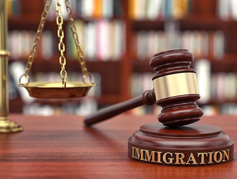 immigration law surrey